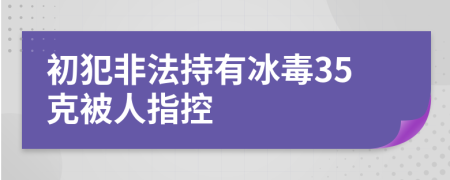 初犯非法持有冰毒35克被人指控