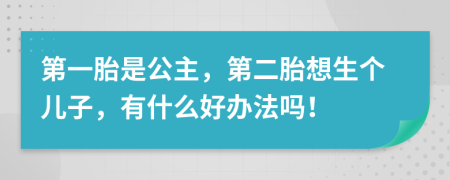 第一胎是公主，第二胎想生个儿子，有什么好办法吗！