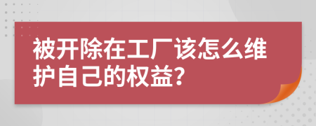 被开除在工厂该怎么维护自己的权益？