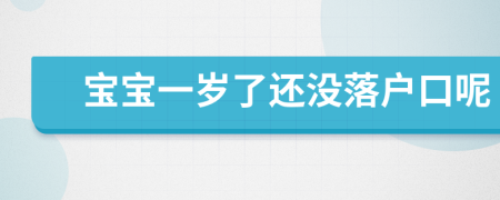 宝宝一岁了还没落户口呢