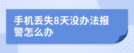 手机丢失8天没办法报警怎么办