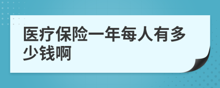 医疗保险一年每人有多少钱啊