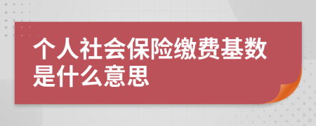 个人社会保险缴费基数是什么意思