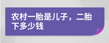 农村一胎是儿子，二胎下多少钱