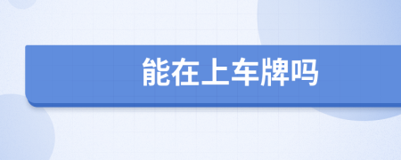 能在上车牌吗
