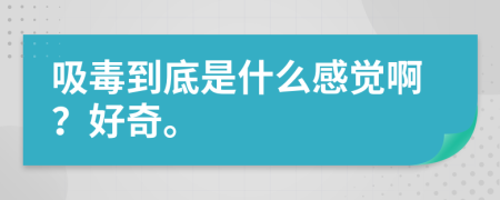 吸毒到底是什么感觉啊？好奇。