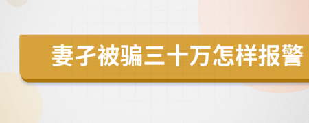 妻孑被骗三十万怎样报警