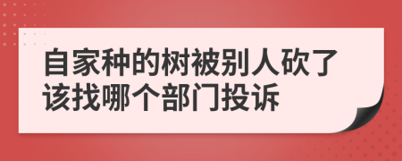 自家种的树被别人砍了该找哪个部门投诉