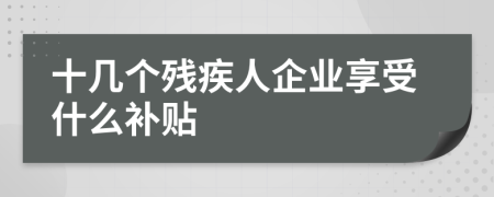 十几个残疾人企业享受什么补贴