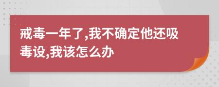 戒毒一年了,我不确定他还吸毒设,我该怎么办