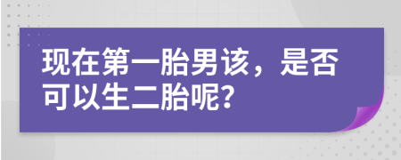 现在第一胎男该，是否可以生二胎呢？