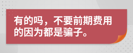 有的吗，不要前期费用的因为都是骗子。