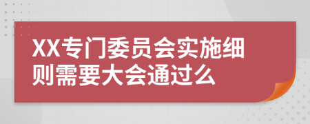 XX专门委员会实施细则需要大会通过么