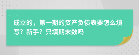 成立的，第一期的资产负债表要怎么填写？新手？只填期末数吗