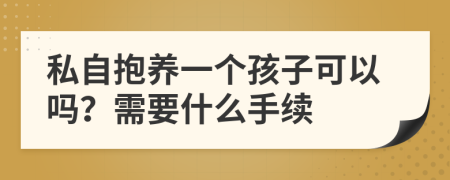 私自抱养一个孩子可以吗？需要什么手续