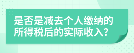 是否是减去个人缴纳的所得税后的实际收入？