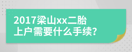 2017梁山xx二胎上户需要什么手续？