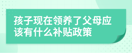 孩子现在领养了父母应该有什么补贴政策