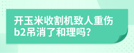 开玉米收割机致人重伤b2吊消了和理吗？