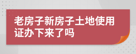 老房子新房子土地使用证办下来了吗