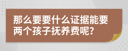 那么要要什么证据能要两个孩子抚养费呢？