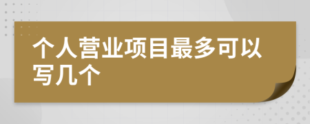 个人营业项目最多可以写几个