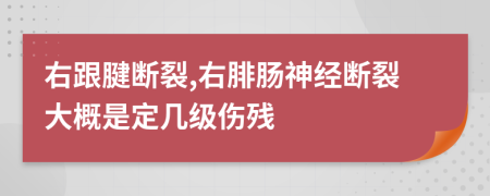 右跟腱断裂,右腓肠神经断裂大概是定几级伤残