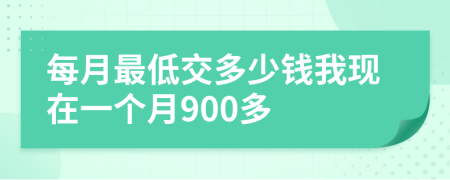 每月最低交多少钱我现在一个月900多