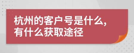 杭州的客户号是什么,有什么获取途径