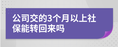 公司交的3个月以上社保能转回来吗