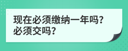 现在必须缴纳一年吗？必须交吗？