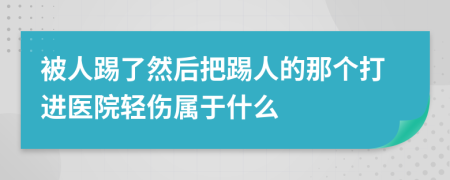 被人踢了然后把踢人的那个打进医院轻伤属于什么