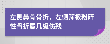 左侧鼻骨骨折，左侧筛板粉碎性骨折属几级伤残