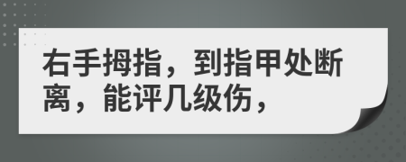 右手拇指，到指甲处断离，能评几级伤，