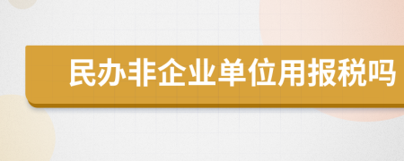 民办非企业单位用报税吗