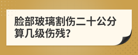 脸部玻璃割伤二十公分算几级伤残？