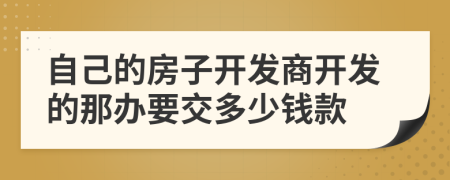 自己的房子开发商开发的那办要交多少钱款