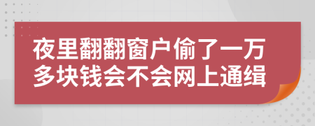 夜里翻翻窗户偷了一万多块钱会不会网上通缉