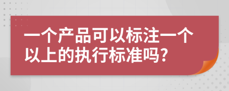 一个产品可以标注一个以上的执行标准吗?