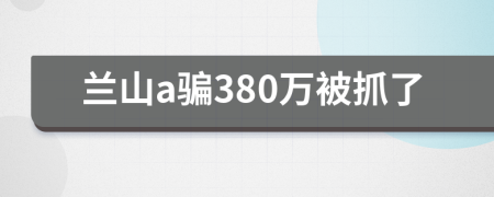 兰山a骗380万被抓了