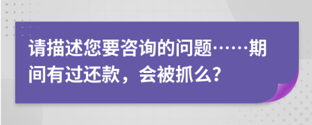 请描述您要咨询的问题……期间有过还款，会被抓么？