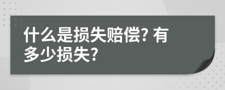 什么是损失赔偿? 有多少损失?