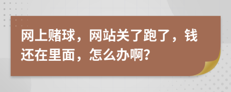 网上赌球，网站关了跑了，钱还在里面，怎么办啊？