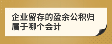 企业留存的盈余公积归属于哪个会计