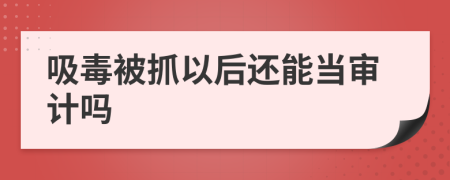 吸毒被抓以后还能当审计吗