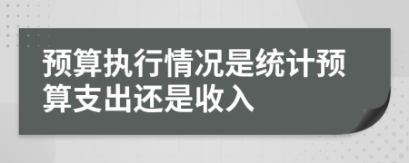 预算执行情况是统计预算支出还是收入