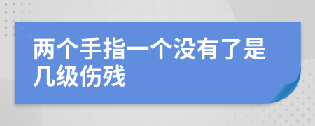 两个手指一个没有了是几级伤残