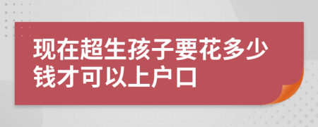 现在超生孩子要花多少钱才可以上户口