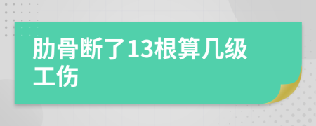 肋骨断了13根算几级工伤
