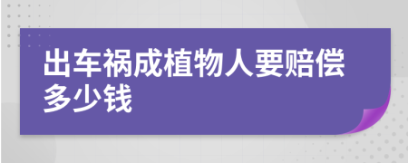 出车祸成植物人要赔偿多少钱